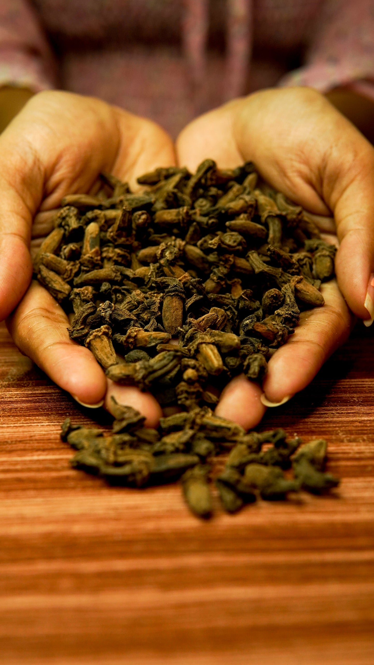 Clove