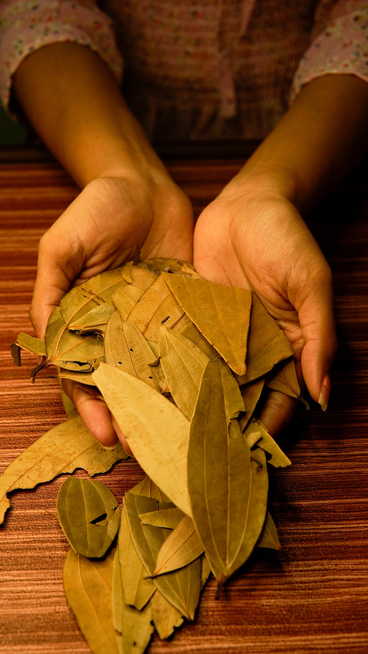 Bay Leaf