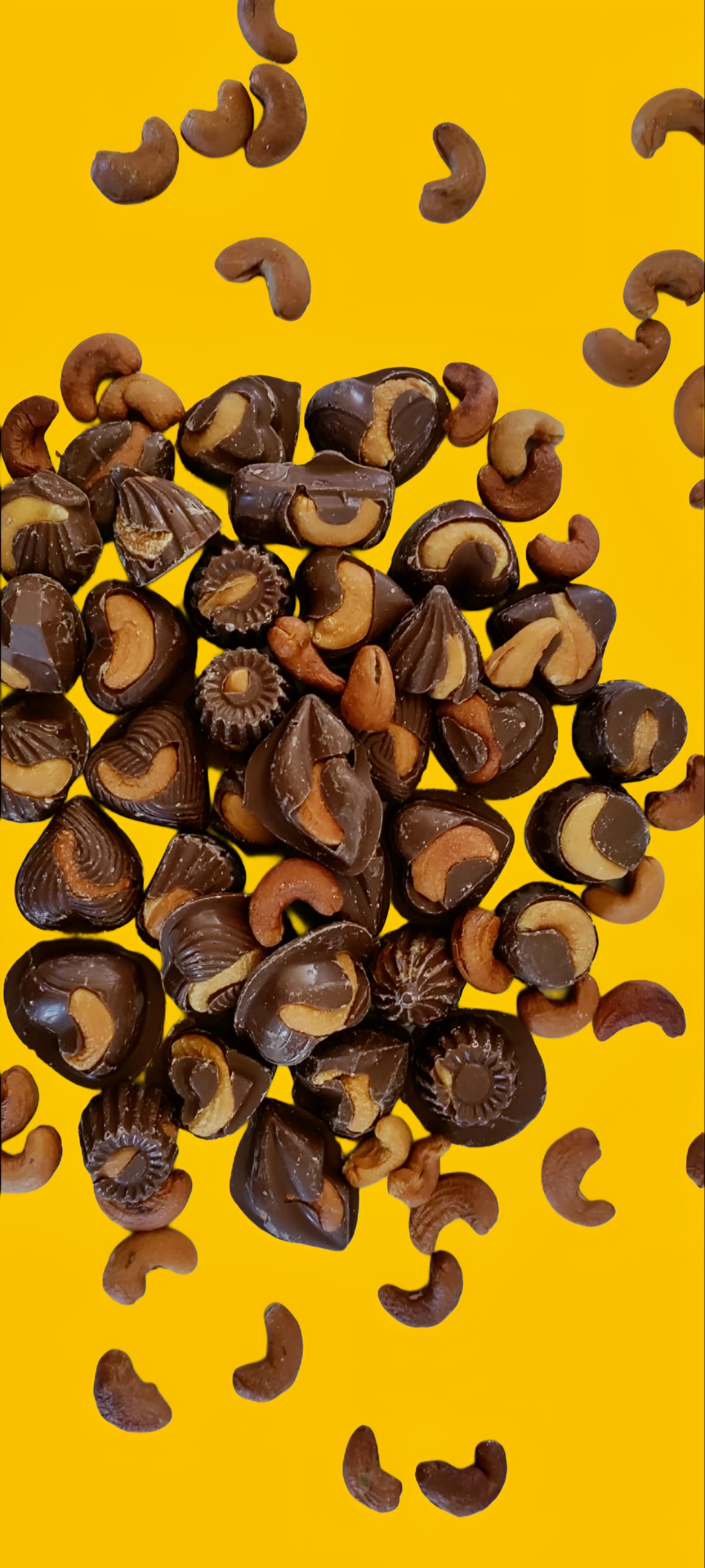 Choco Cashew Truffle