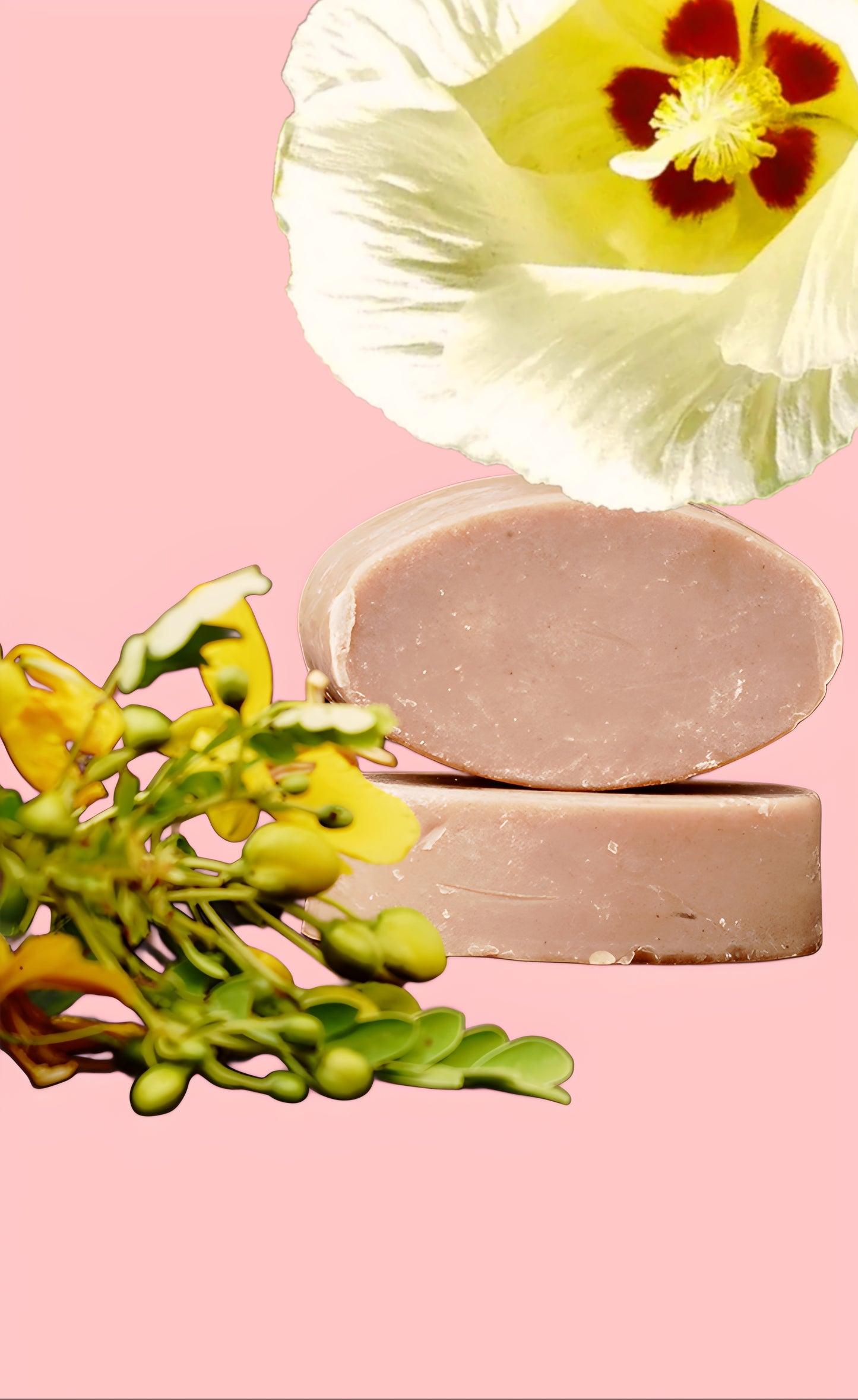Poovarasam Poo Soap (300 Gms Pack Of 3)